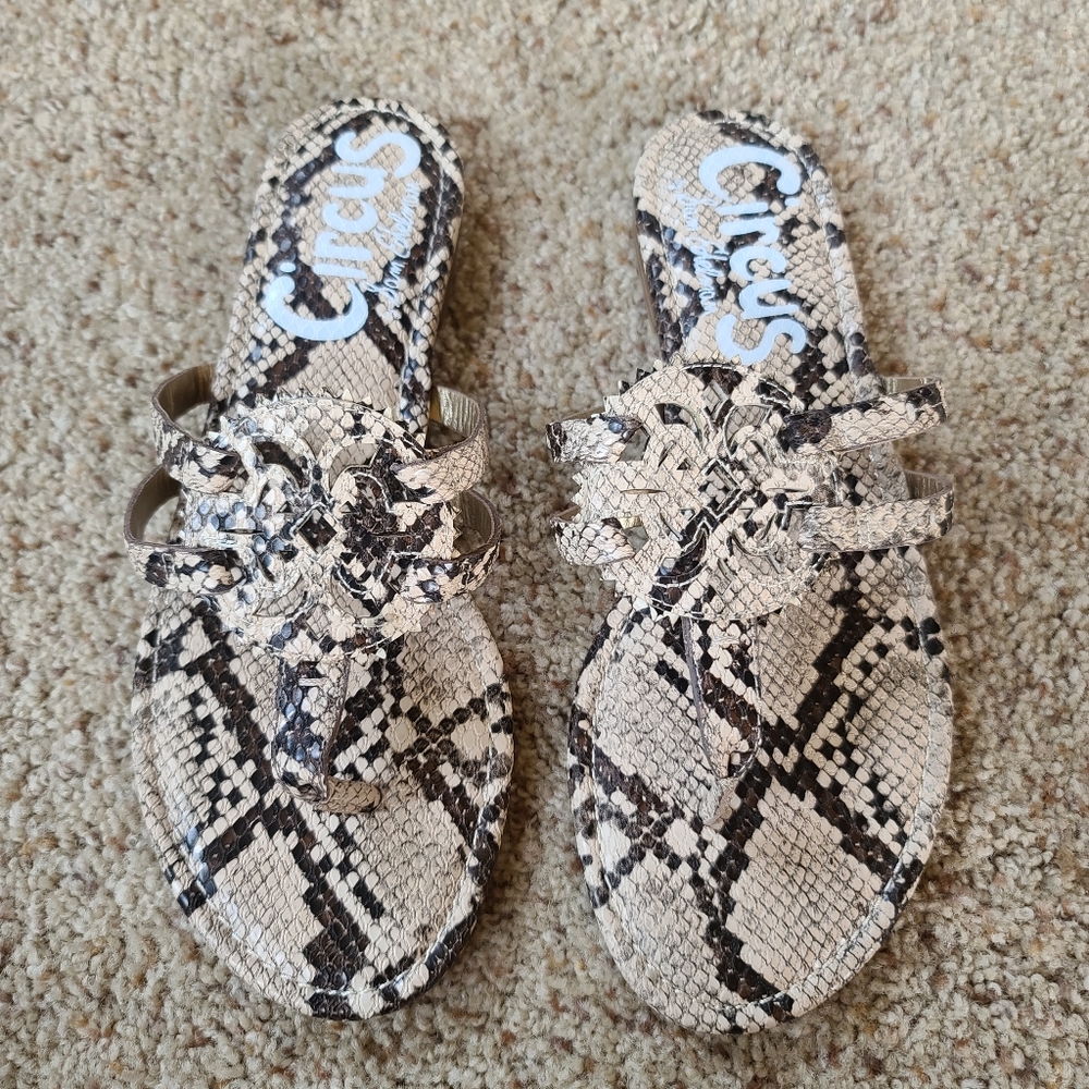 Circus By Sam Edelman Sandal Size 7.5
